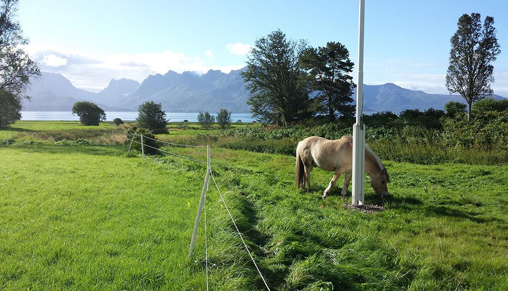 Bo Huset Guest House Sortland Exterior photo